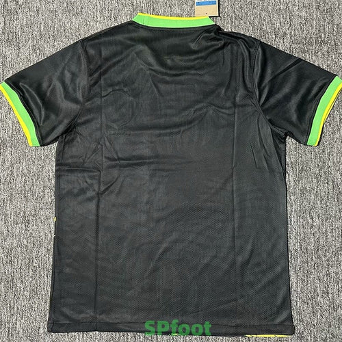 Camiseta Brasil Concepto 2024/2025