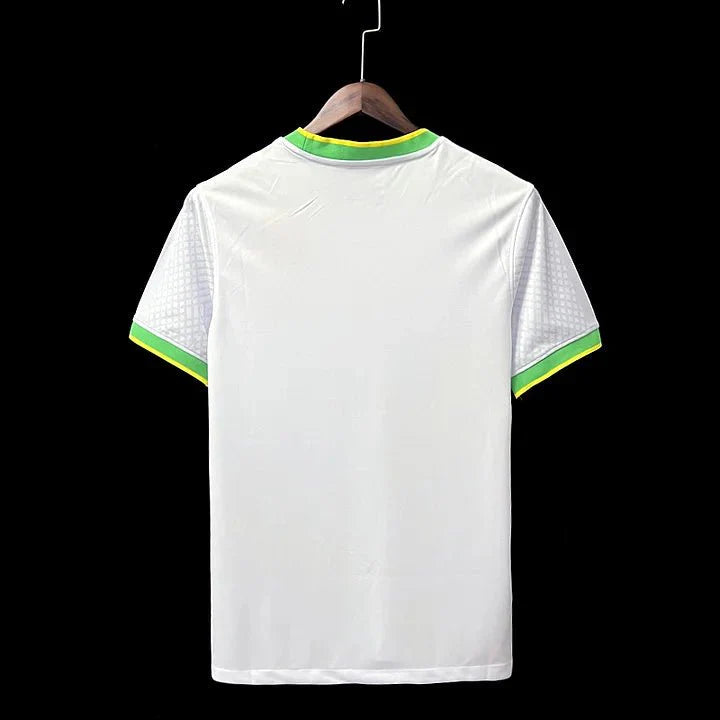 Brazil Concept Jersey 2024/2025