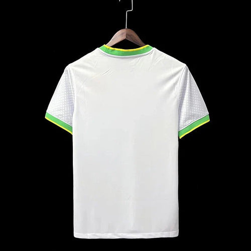 Camiseta Brasil Concepto 2024/2025