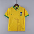 Brasilien Konzept Rio