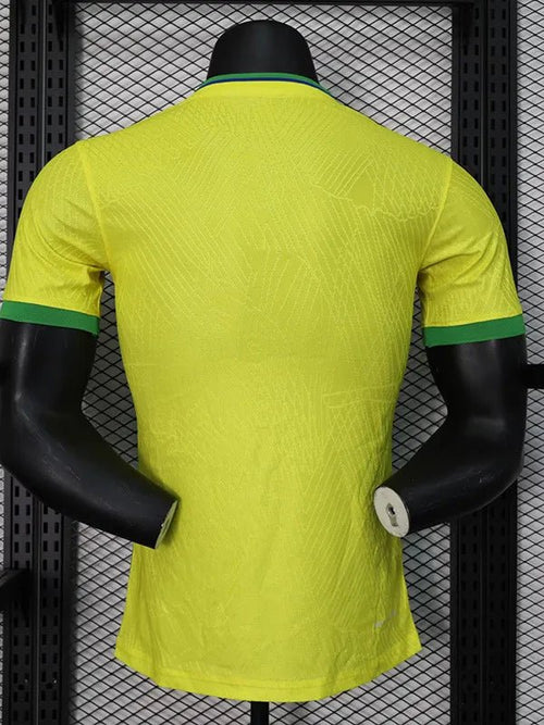 Brasilien Konzept Rio